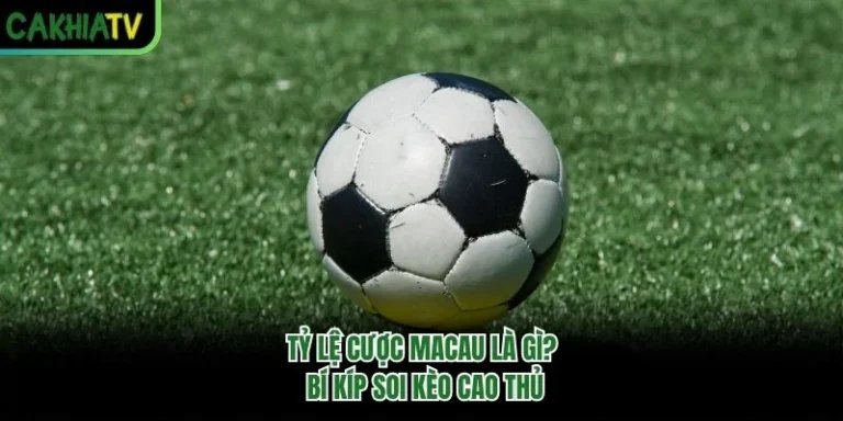 Tỷ Lệ Cược Macau Là Gì? Bí Kíp Soi Kèo Cao Thủ